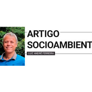 A perereca que entrou em sala de aula
